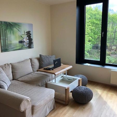 Triplex Residence, Lux-Appartment In The Central Part Karlovy Vary Dış mekan fotoğraf